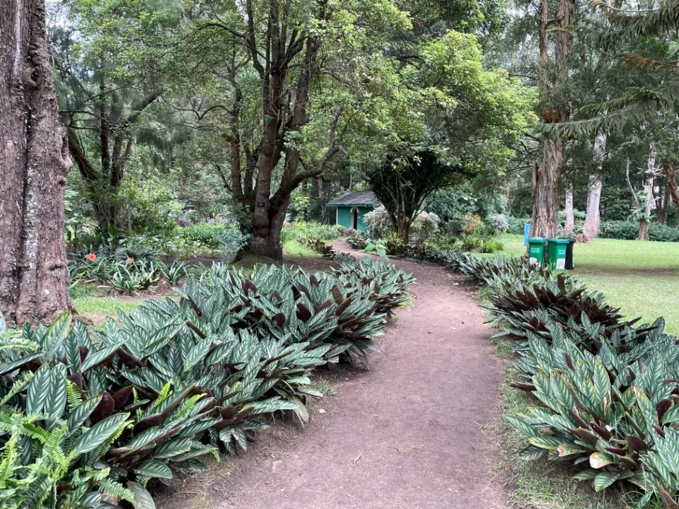 Picture 19 : Sri Lanka trip - Kandy and Nuwara Eliya