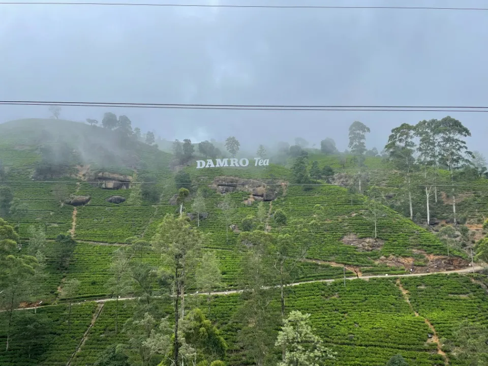 Picture 14 : Sri Lanka trip - Kandy and Nuwara Eliya