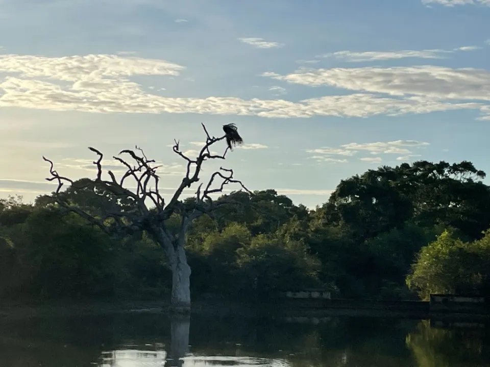 9 : Sri Lanka trip - Yala National Park, Galle and Bentota