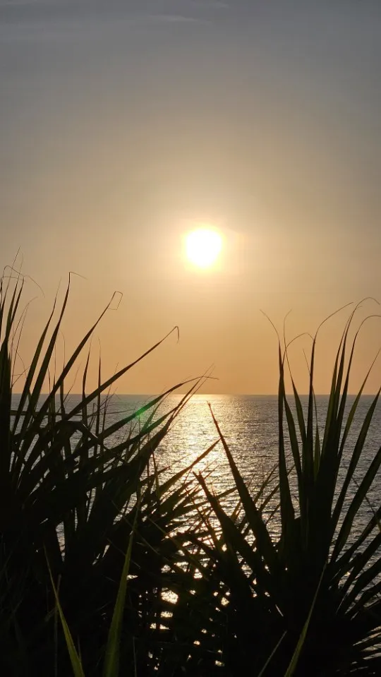 Picture 14 : Amazing Bali - Arrival in Bali and Tanah Lot