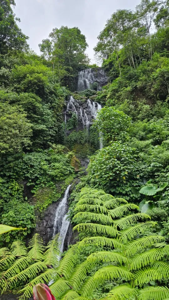 Picture 5 : Amazing Bali - Handara Gate, Twin Lakes, Banyumala Waterfalls, Ulun Danu temple