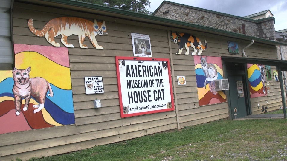 Picture 1 : My Trip to Asheville, NC - Drive + Cat Museum