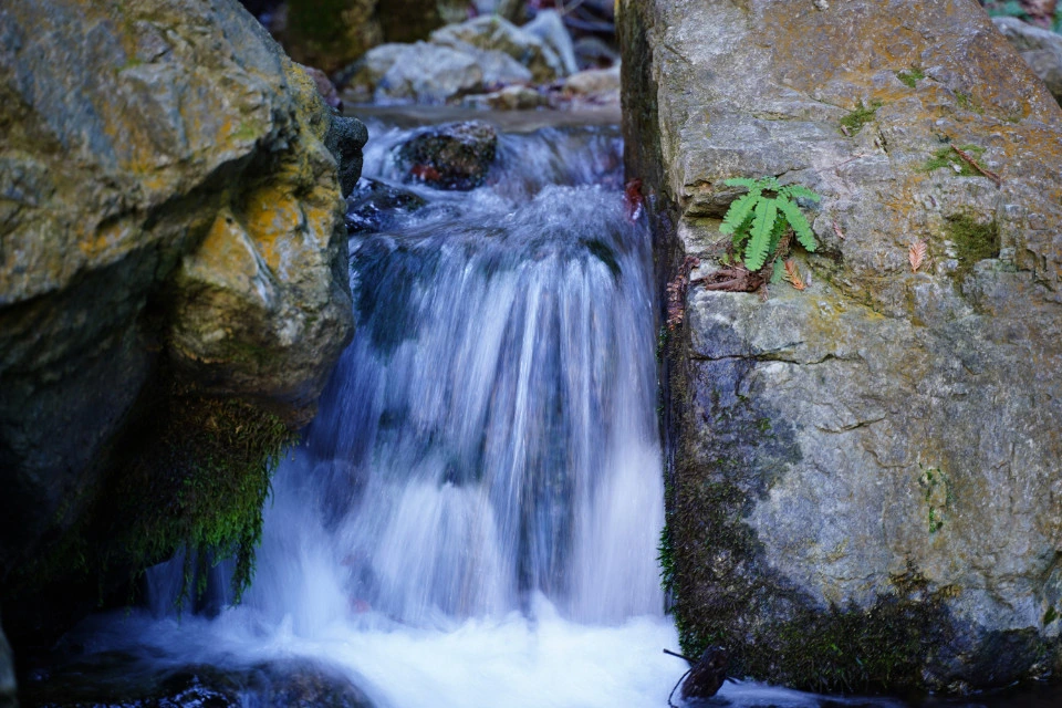 Picture 5 : Big Sur, CA - Hiking Day!