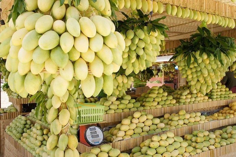 Picture 1 : 4 Days Iloilo - Island Hopping in the Philippines - Discovering the Mango Wonders and Hidden Gems of Guimaras