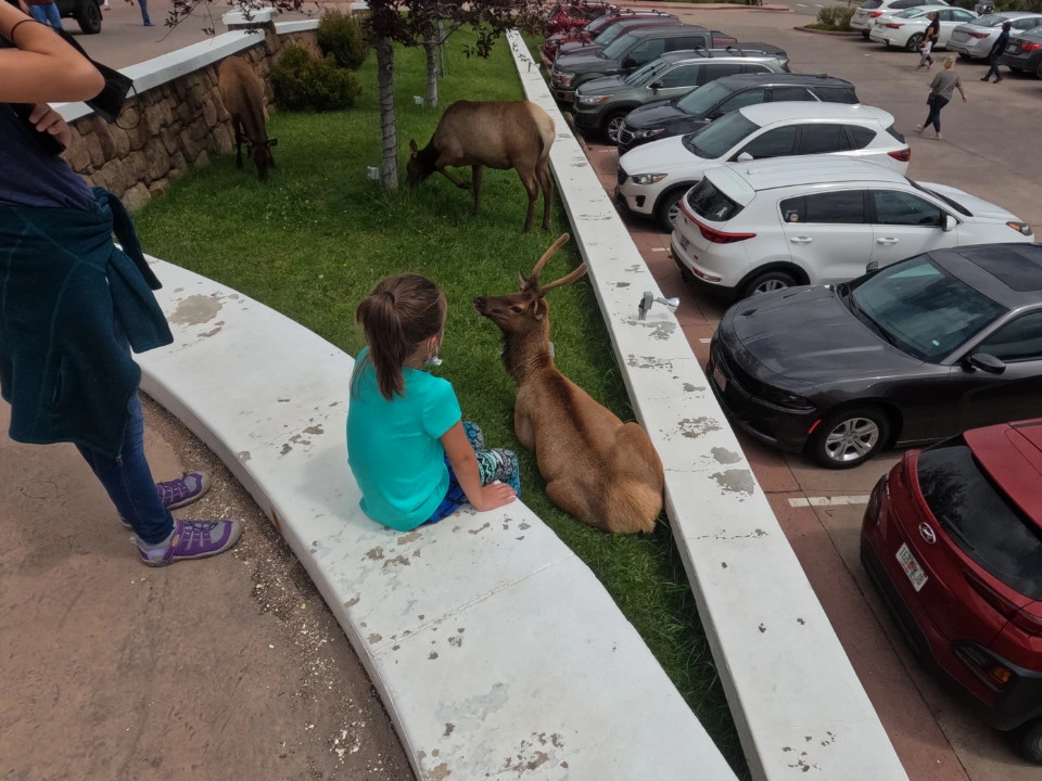 Picture 1 : Colorado - Arrival and Estes Park