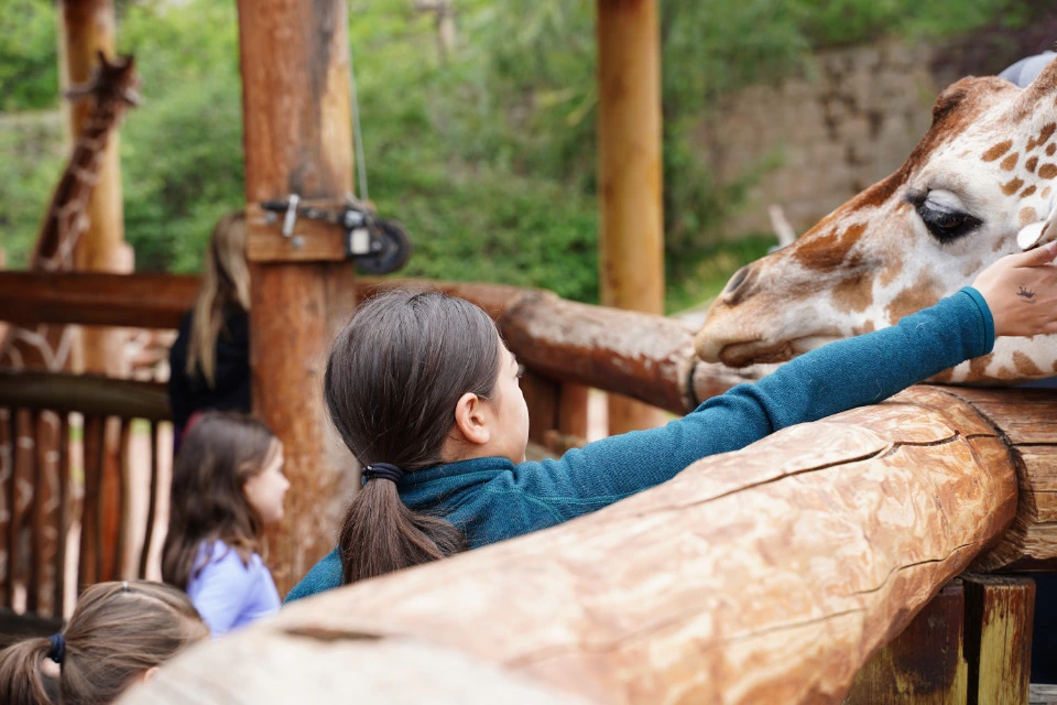 3 : Colorado - Red Rock Open Space and Cheyenne Zoo