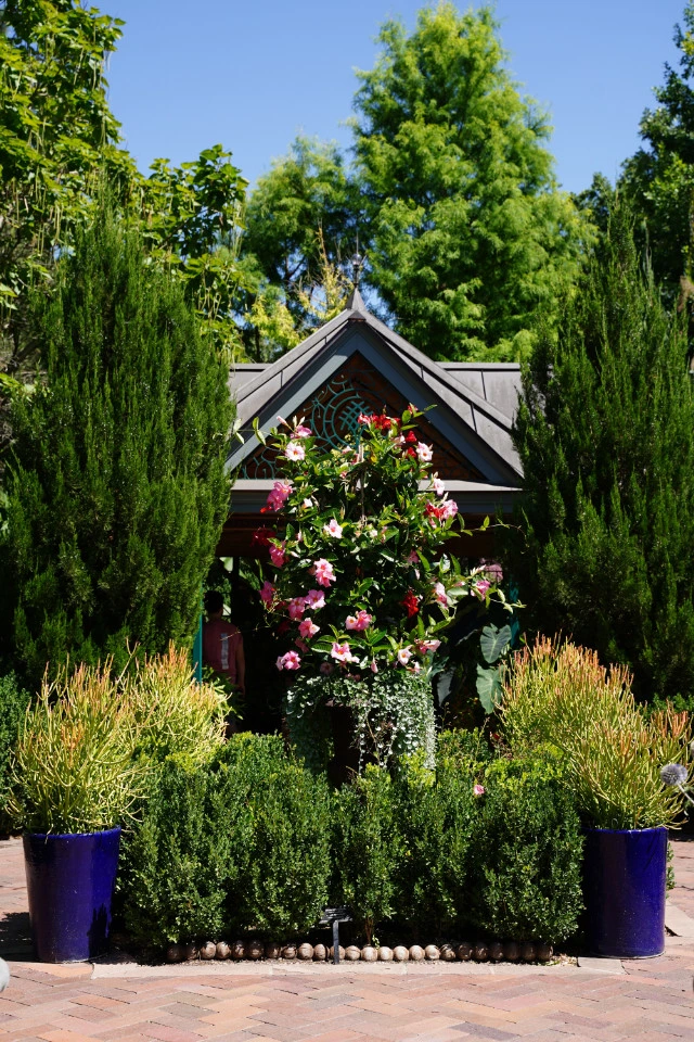 Picture 3 : Colorado - Departure and Denver Botanic Gardens