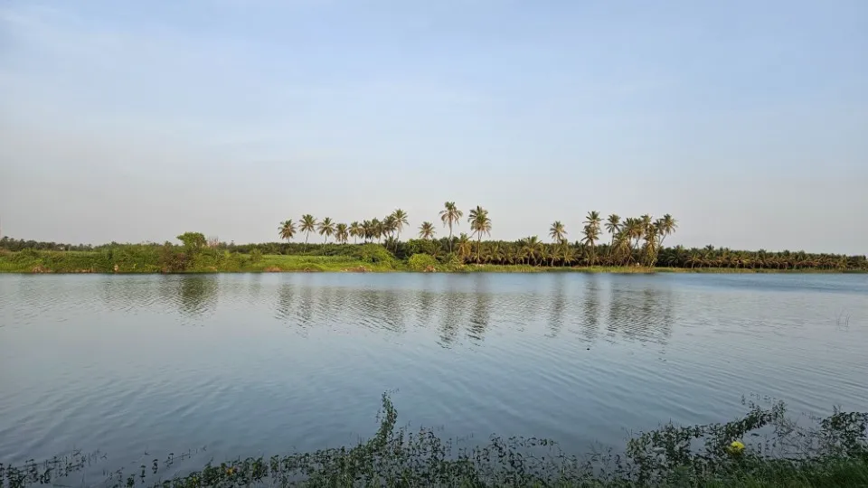 Picture 16 : Vibrant Gujarat - Porbandar and Somnath