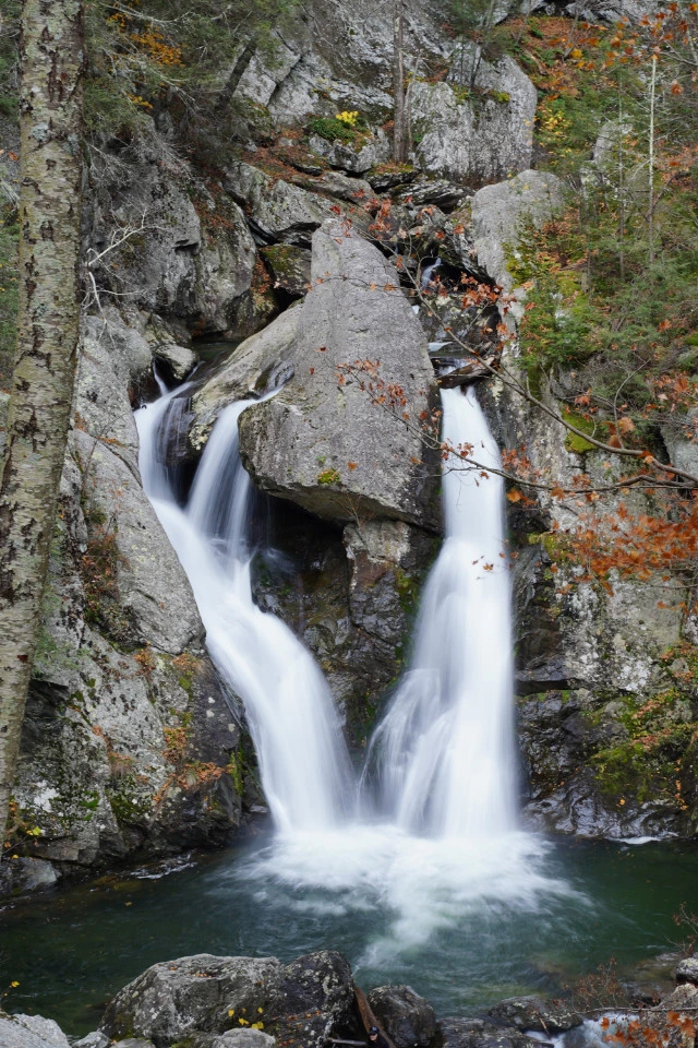 Picture 1 : Copake, Catamount, and Bash Bish Falls - Catamount Aerial Adventure Park + Hiking