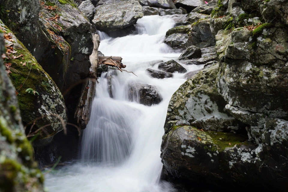 Picture 12 : Copake, Catamount, and Bash Bish Falls - Catamount Aerial Adventure Park + Hiking