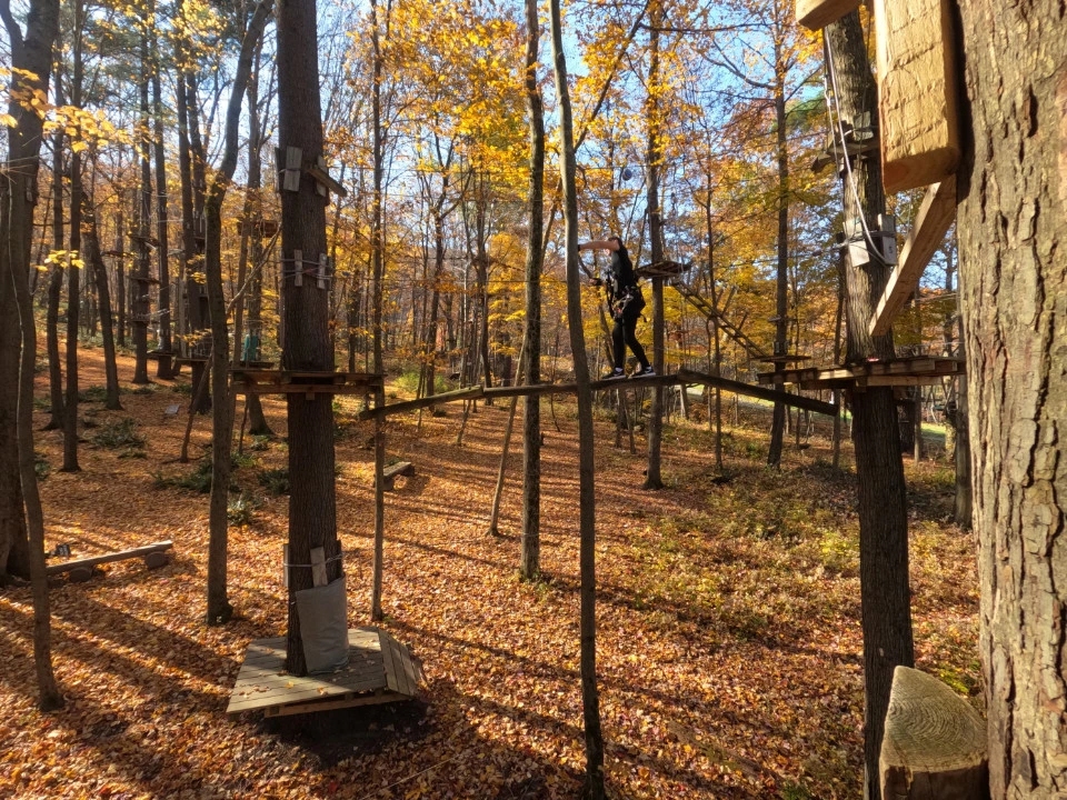 Picture 2 : Copake, Catamount, and Bash Bish Falls - Catamount Aerial Adventure Park + Hiking