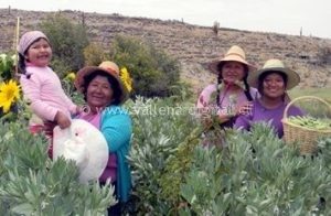 mujeres-WEB