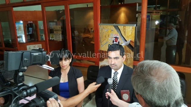 caparazones-tortugas-bidema4