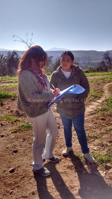 encuestadoras-en-terreno