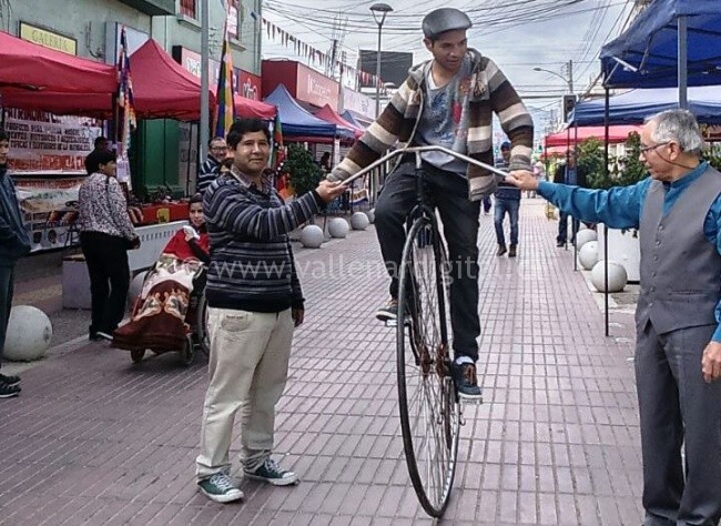  Cientos de  vallenarinos  disfrutaron del Día del Patrimonio Cultural.