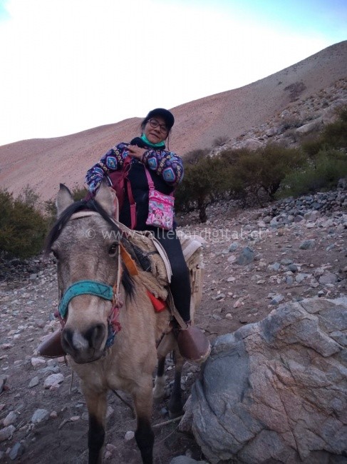 Profesora de Junta Veleriano fue reconocida con el premio 100 Mujeres Líderes del 2020