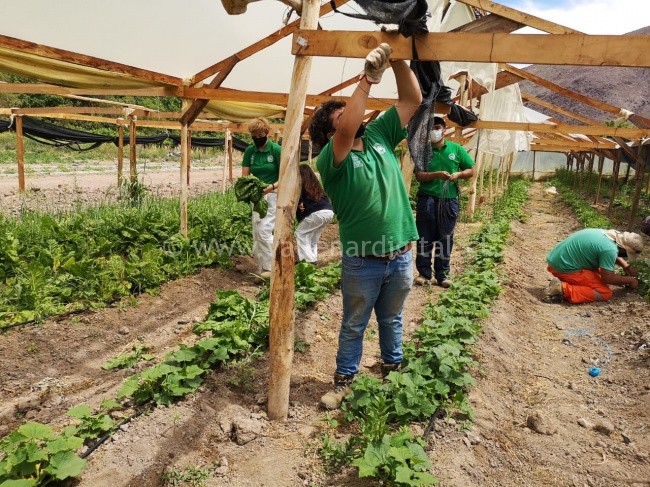 Exitoso retorno de clases presenciales del primer liceo de la región de Atacama.
