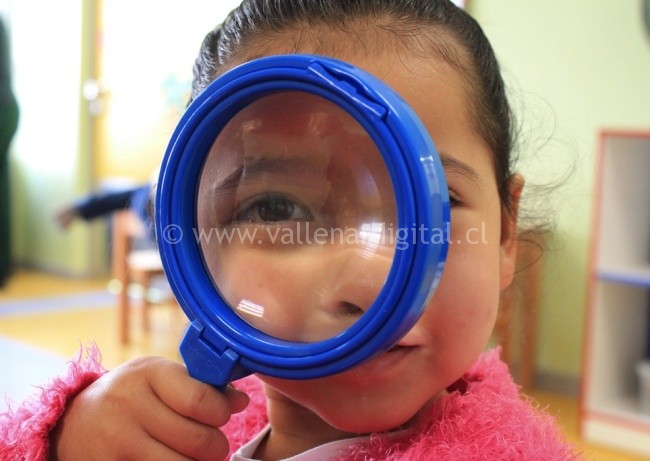 Fundación Integra de Atacama abre concurso mixto para dirección regional