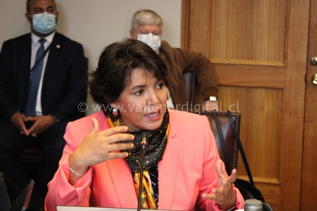 Senadora Yasna Provoste pide pronunciamiento del ministro de Educación por casos de hostigamiento laboral en SLEP Atacama