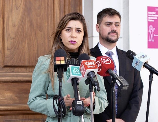 Diputados Manouchehri y Cicardini (PS) presentan proyecto “Salvemos el Fútbol” para prevenir violencia en los estadios