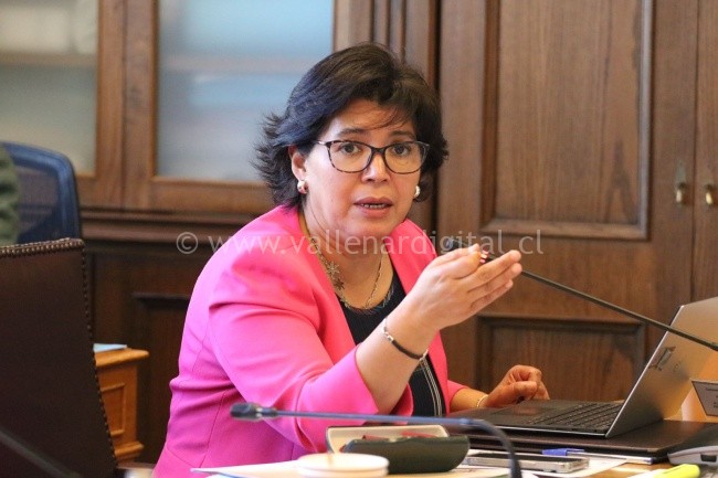 Jefa de bancada de senadores DC entrega a ministro de Hacienda propuesta de reactivación económica y tributaria: “Un Chile con más equidad requiere un acuerdo transversal para reimpulsar el desarrollo futuro”