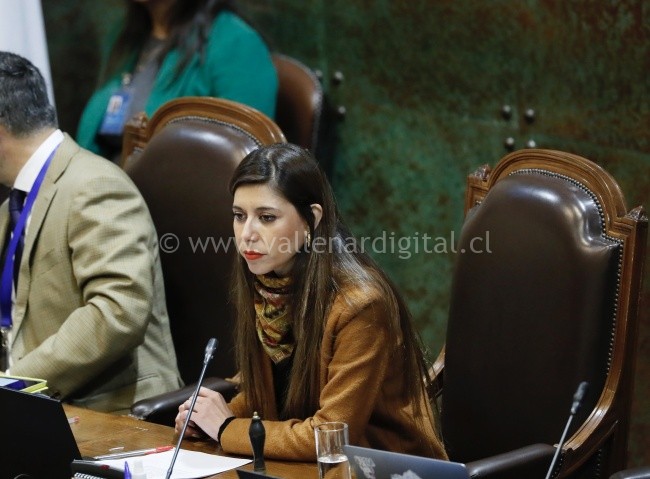 Diputada Cicardini: “Es momento de recuperar el feriado del día del minero y así se lo pediremos al gobierno”