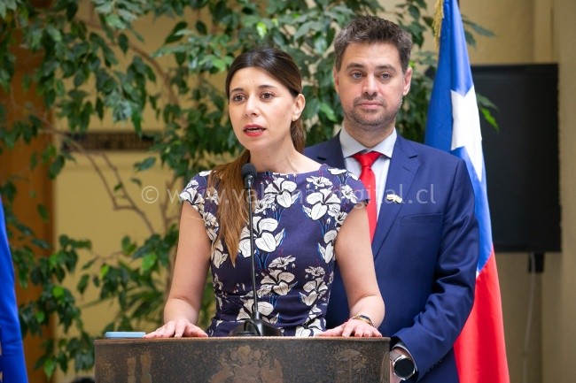 Diputados Cicardini y Manouchehri (PS) ingresan indicación para prohibir que deudores de pensión alimenticia ingresen a estadios