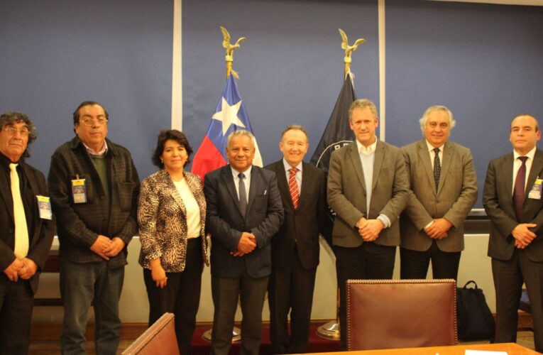Autoridades de Atacama y dirigentes de taxis colectivos acuerdan mesa de trabajo con el Ministerio de Transportes para modernizar al sector