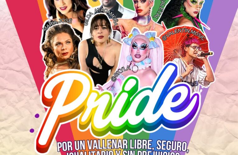 “Vallenar Pride” se tomará las calles con un evento por los derechos de la diversidad