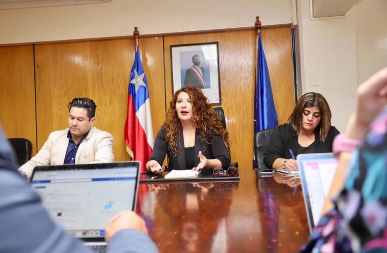 Vocera de Gobierno por situación el liceo:  “es una situación que desde el minuto uno nos ocupó como Gobierno”