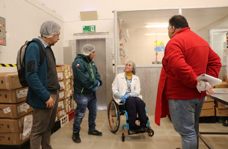 SEREMI de Salud Atacama refuerza junto al SAG programa de fiscalización de cara a Fiestas Patrias