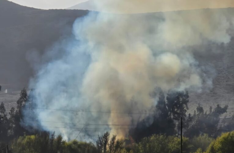 Incendio de matorrales y arbolado afecta al sector de los Loros comuna de Freirina