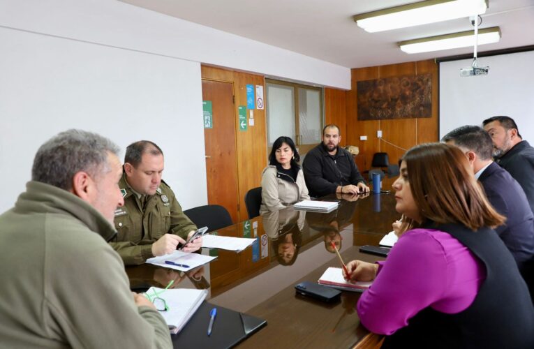 Autoridades Locales adoptan medidas para fortalecer inspección y fiscalización de locales nocturnos en Vallenar