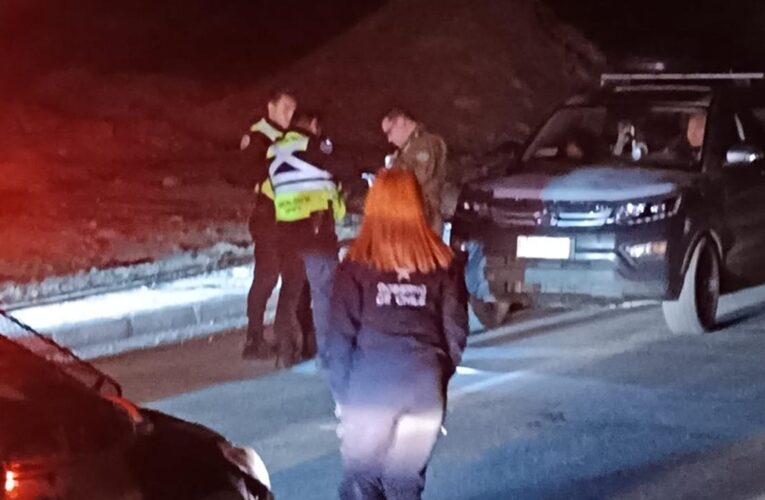 CARABINEROS Y PERSONAL MUNICIPAL OS-14 REALIZAN FISCALIZACIÓN EN MIRADOR DE LA PANCHO