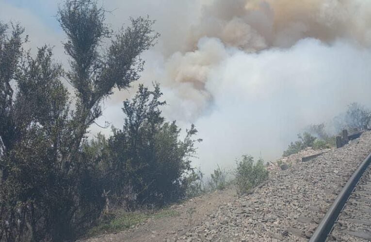 Se Cancela Alerta Roja en Incendio de Tátara Bajo en la comuna de Freirina