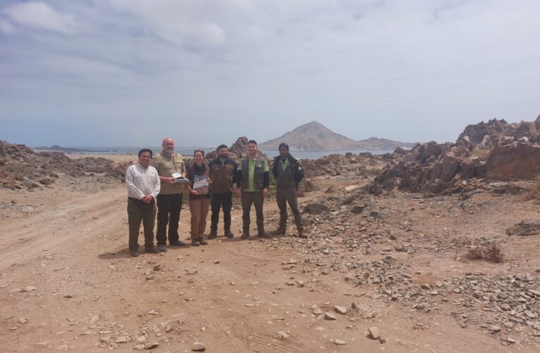 Experta zoóloga española realiza pasantía en Parque Nacional Pan de Azúcar