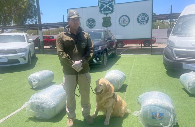 CARABINEROS DESARTICULÓ ORGANIZACIÓN CRIMINAL BOLIVIANA DEDICADA AL TRÁFICO DE DROGAS