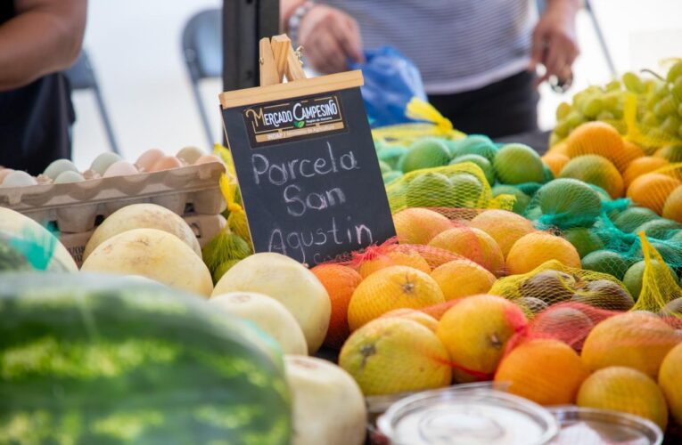 ABREN NUEVO MERCADO CAMPESINO DE INDAP EN LA PROVINCIA DE HUASCO.