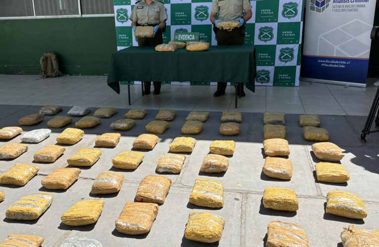 EJEMPLAR CANINO DEL O.S.7 DETECTA TRASLADO DE 69 KILOS DE MARIHUANA EN CHAÑARAL