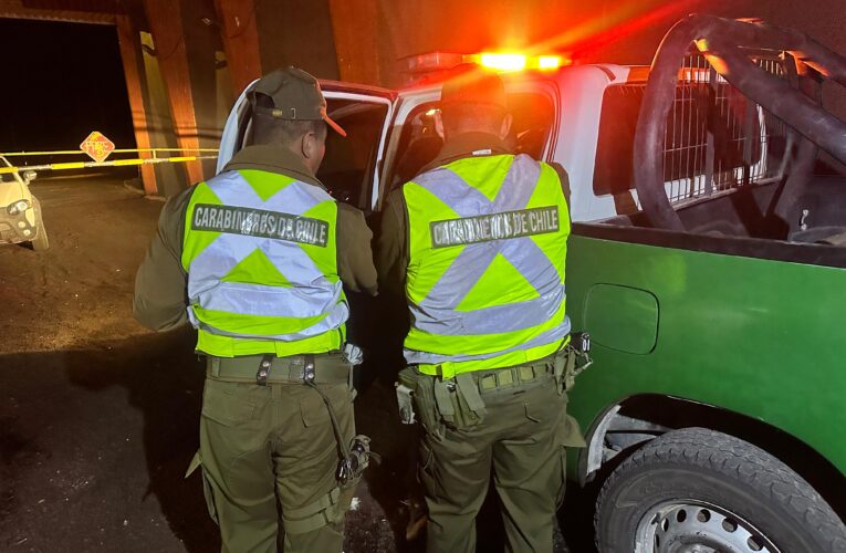 CARABINEROS SORPRENDIO A CAMIONERO TRANSITANDO POR LA RUTA INTERNACIONAL SIN LICENCIA PROFESIONAL