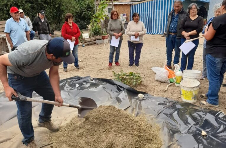 Buscan agregar valor al proceso productivo olivícola de la comuna de Freirina a través de iniciativa desarrollada por INIA Intihuasi