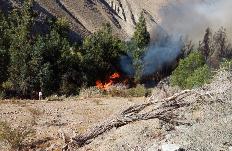 Alerta Roja por Incendio en Alto del Carmen