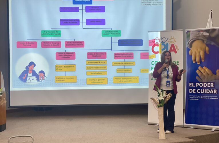 SERVICIO DE PROTECCIÓN A LA NIÑEZ EXPONE EN LA PRIMERA JORNADA DEL COMITÉ DE PROTECCIÓN A LA INFANCIA DEL HOSPITAL REGIONAL DE COPIAPÓ