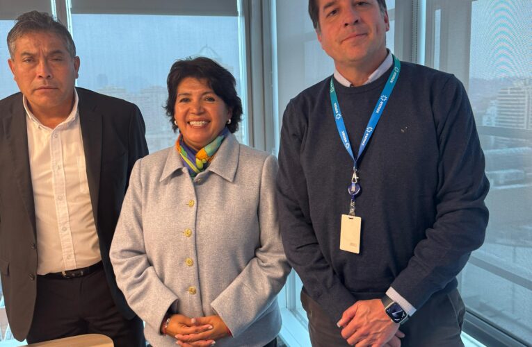 *Senadora Yasna Provoste logra avanzar con proyecto para establecer estación de servicio Aramco en Alto del Carmen*