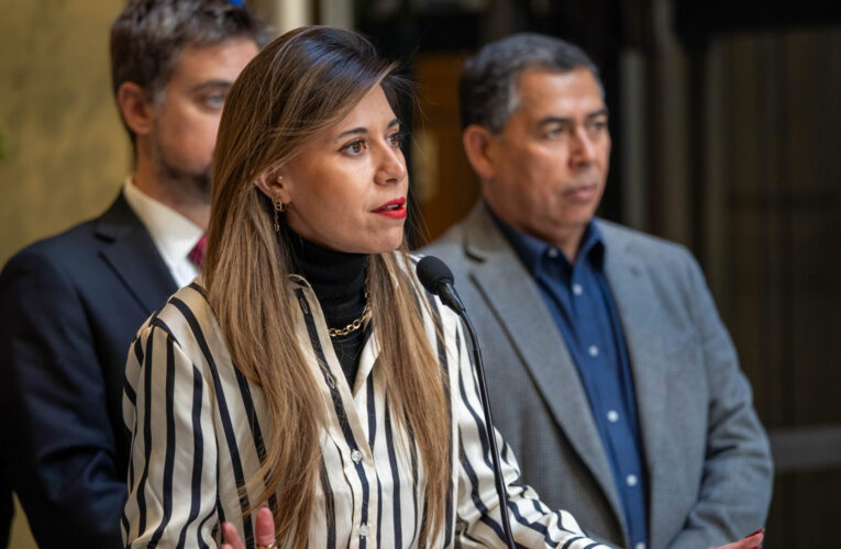 Diputada Cicardini (PS) solicita sesión especial de la Cámara por alza de contribuciones