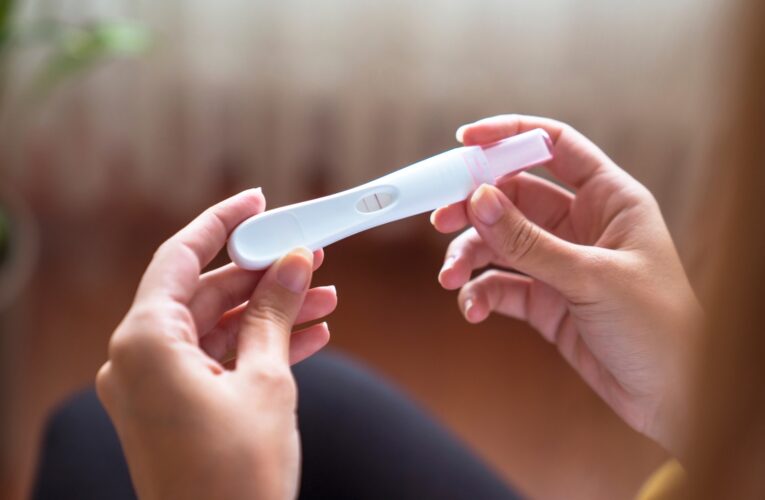 Seremis de Salud y de la Mujer y Equidad de Género explican proyecto de ley que despenaliza la interrupción voluntaria del embarazo hasta las 14 semanas