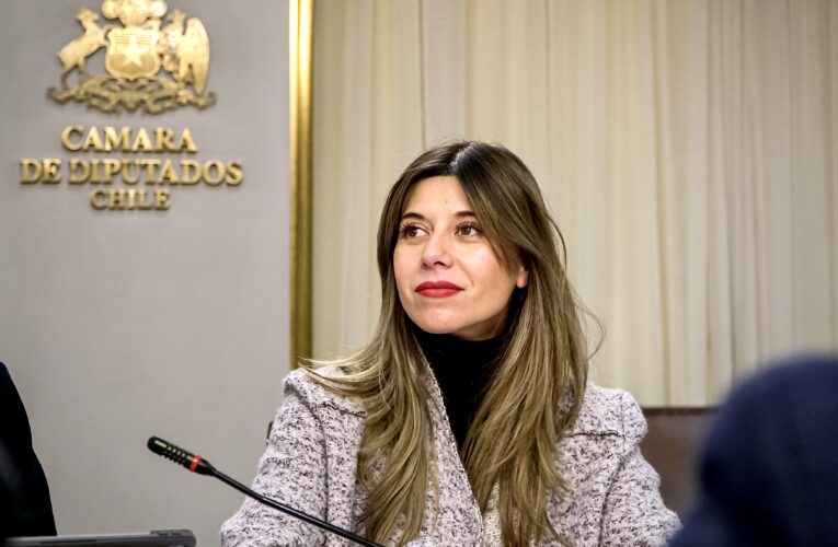 Diputada Cicardini celebró avance de proyecto de su autoría que otorga permiso por muerte de mascota