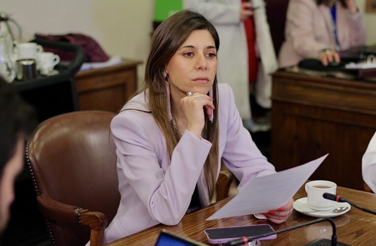 Diputada Cicardini: “ No estoy disponible para aprobar un presupuesto 2026 que signifique recortes en Salud para Atacama”