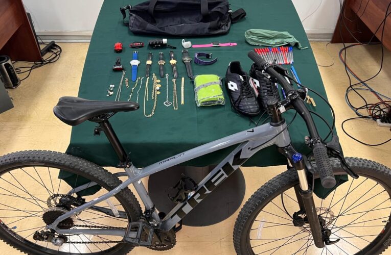 Vallenar: Carabineros detiene a dos sujetos con amplio prontuario por robo en lugar habitado