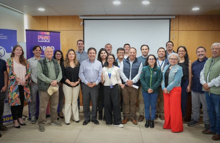 Gobierno Regional de Atacama advierte impacto en exportaciones por paralización del System Approach en Estados Unidos